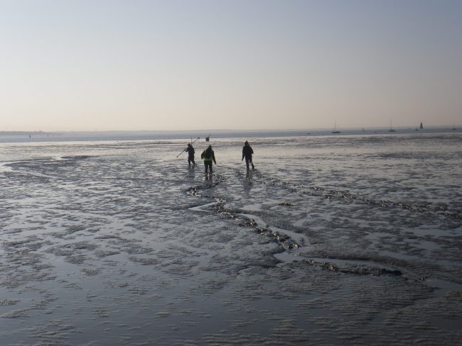 ETUDE DU LITTORAL PAR DRONE