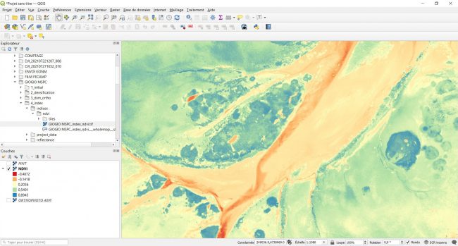 Etude naturaliste sur l'estran de la baie de Quiberon