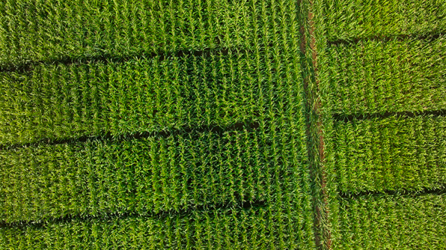 Formation Drone Domaine Environnement