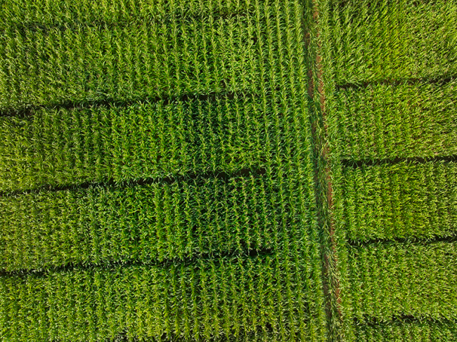 Formation Drone Domaine Environnement Formation Drone Domaine Environnement