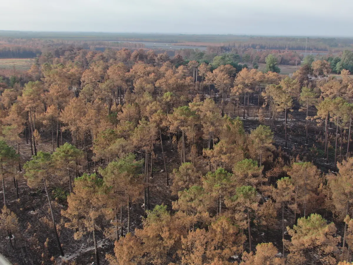 Formation drone autonome surveillance des forêts et risque incendie
