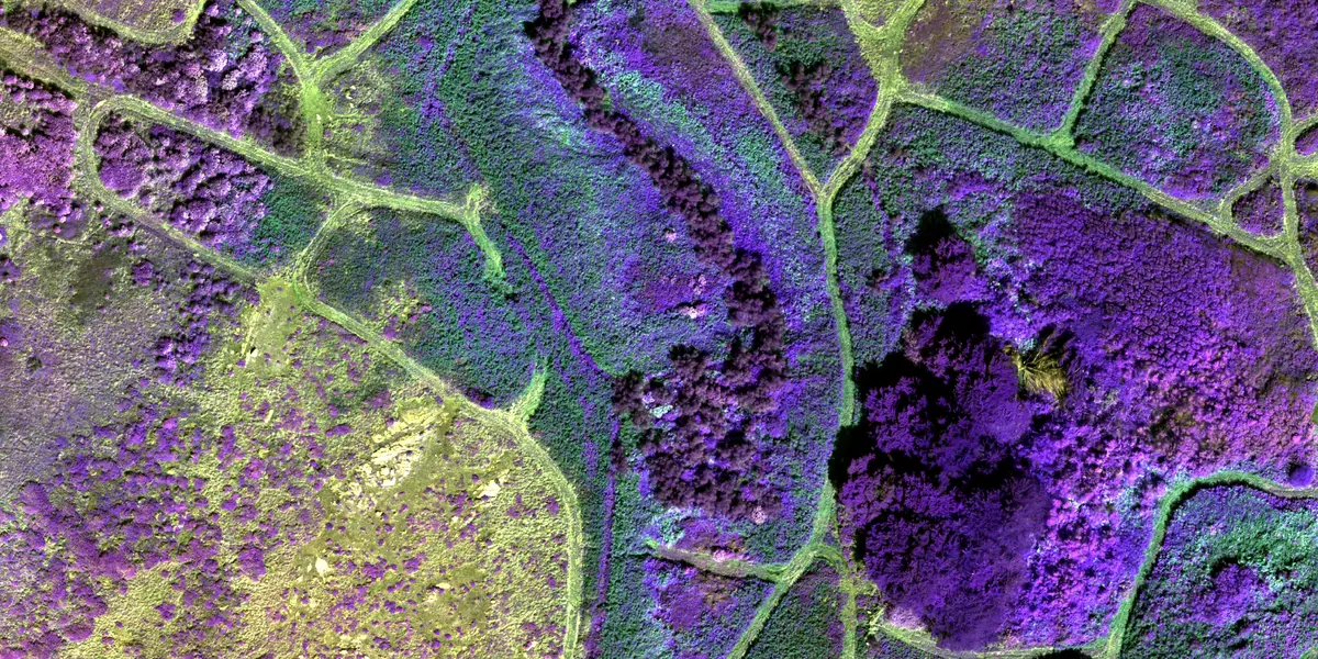 Formation imagerie multispectrale par drone, indices de végétation